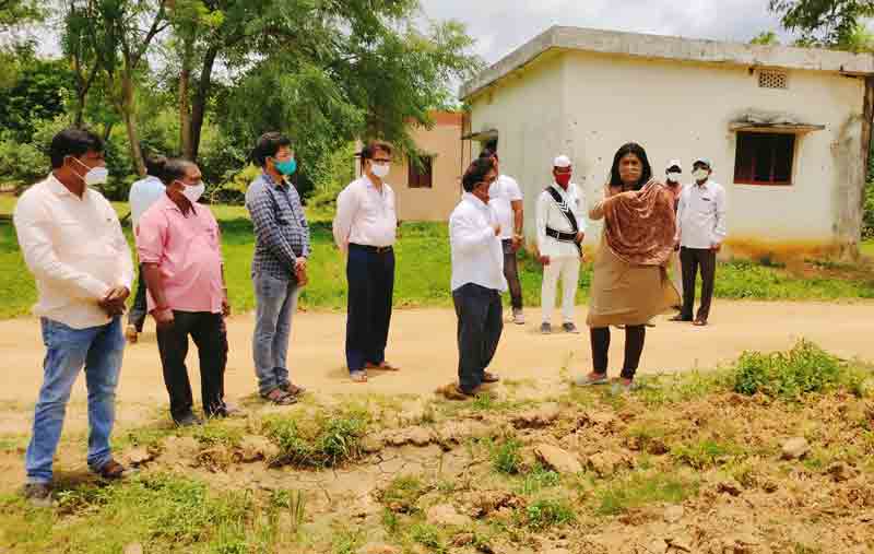 అవెన్యూ ప్లాంటేషన్‌ను త్వరగా పూర్తిచేయాలి