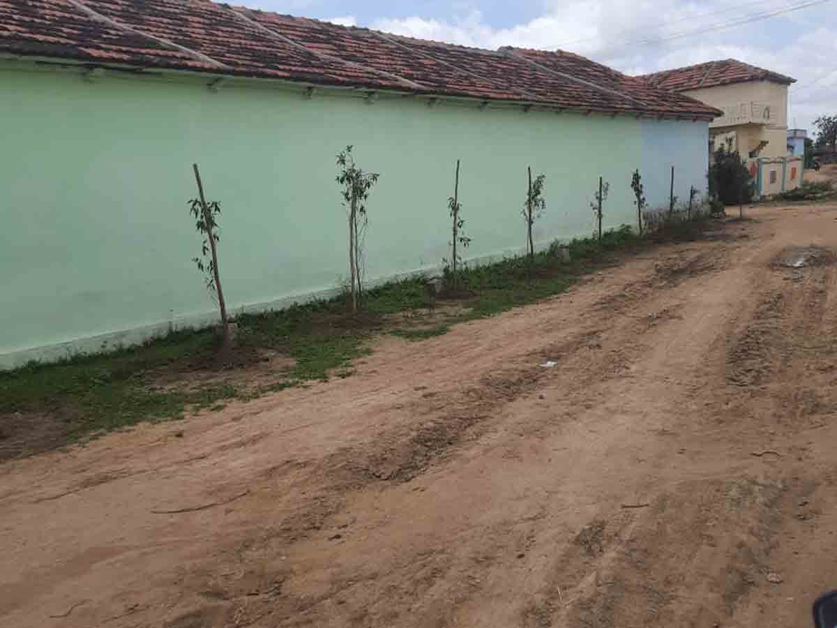 హరితహారం మొక్కలు ధ్వంసం.. రూ. 5వేల జరిమానా