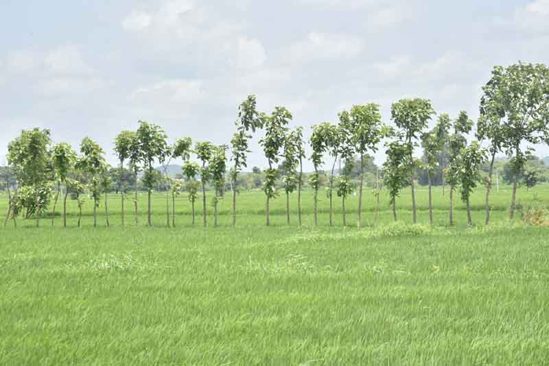 రైతులకు రుణ విముక్తీ