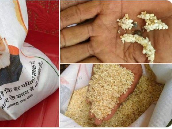 మోదీజీ పుట్ట‌గొడుగులు మానేసి ఐదు రోజులు ఈ ఆహారం తీసుకోండి!