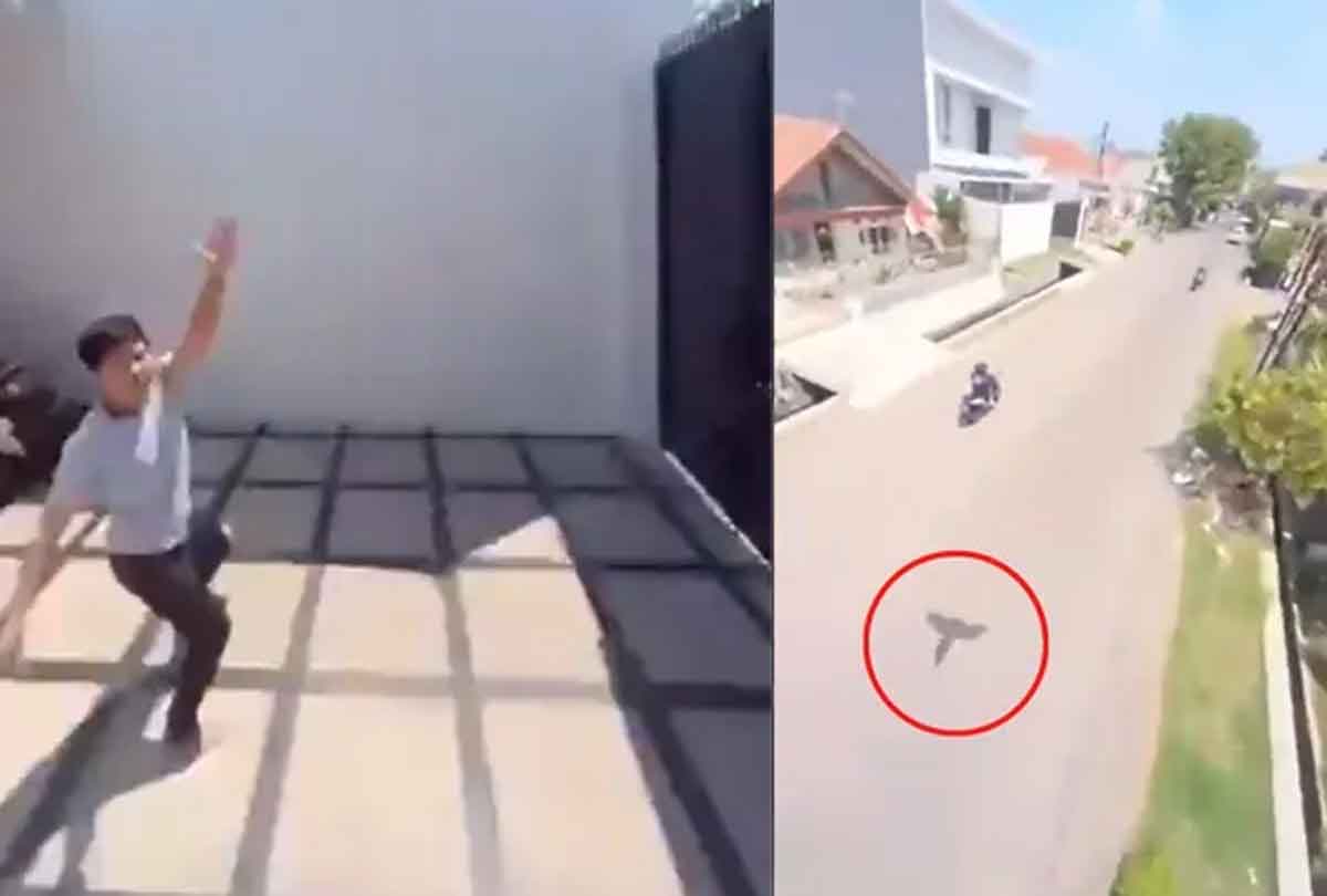 Viral Video : ఇదేంద‌య్యా ఇది.. ఫోన్‌ను ఎత్తుకెళ్లిన ప‌క్షి ఏం చేసిందో చూడండి