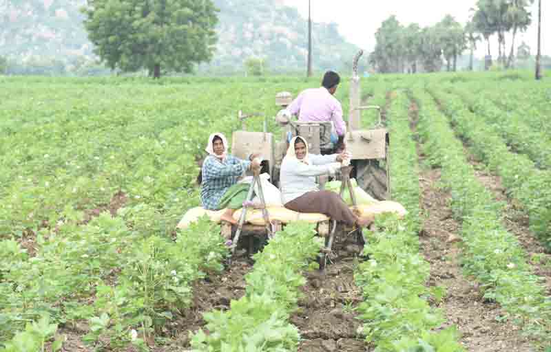 తెలంగాణ రైతురాజ్యం