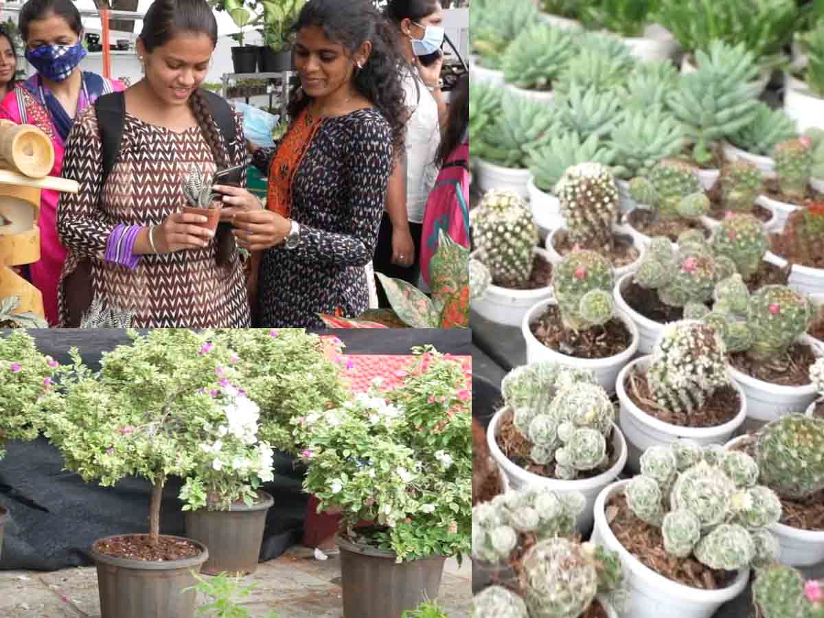 తీరొక్క మొక్క‌..ప‌చ్చ‌ని పూదోట‌.. ప్ర‌కృతివ‌నాన్ని త‌ల‌పిస్తున్న పీపుల్స్ ప్లాజా