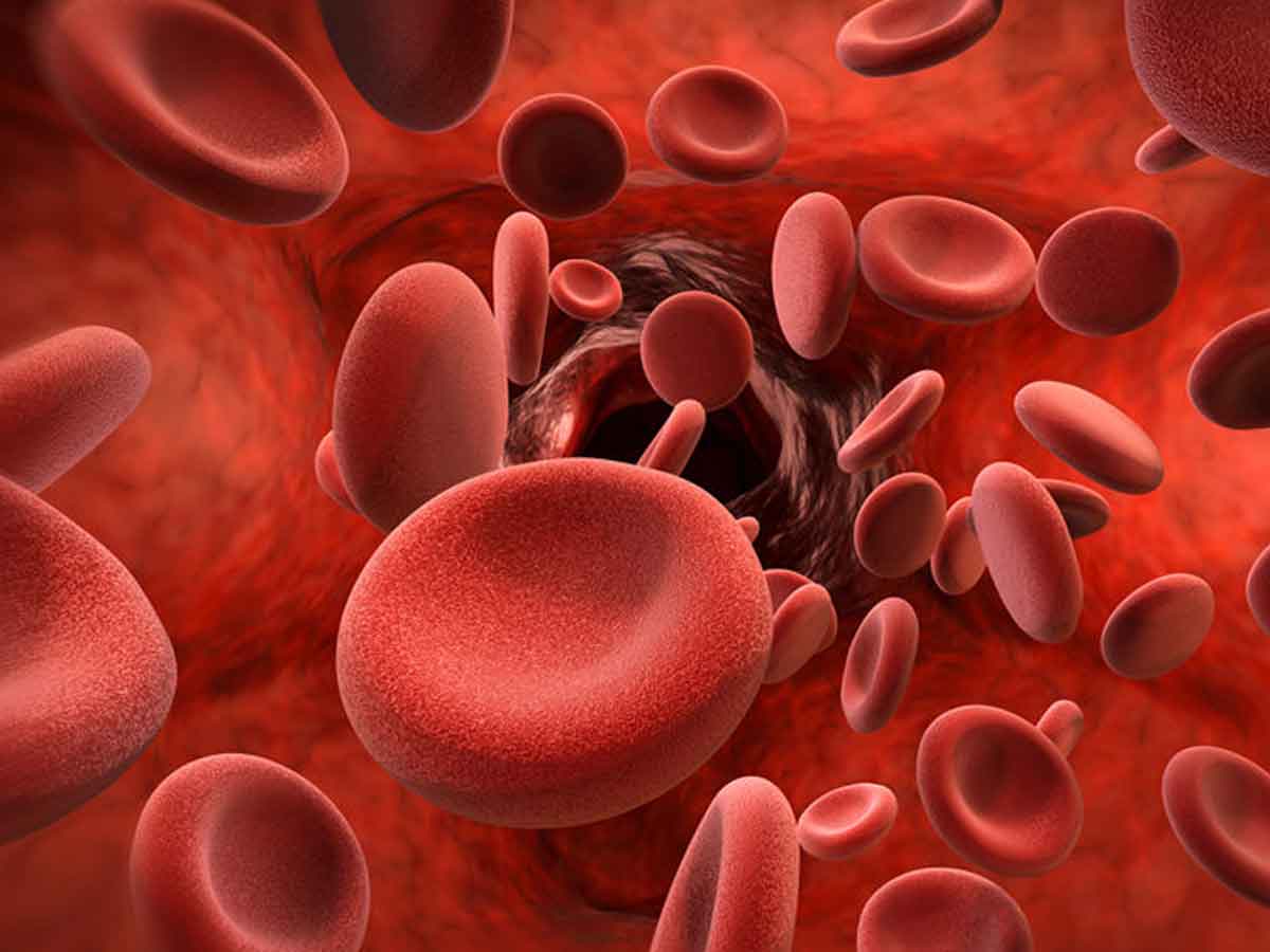 ప్లేట్ లెట్స్ పెరగాలంటే.. ఇవి తినండి…