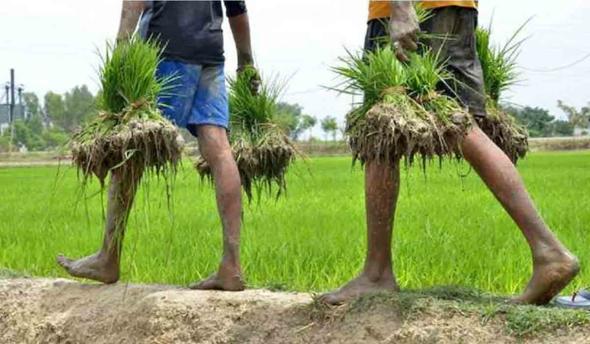 సోమ‌వారం రైతుల ఖాతాల్లో పీఎం కిసాన్ స‌మ్మాన్ నిధుల జ‌మ‌