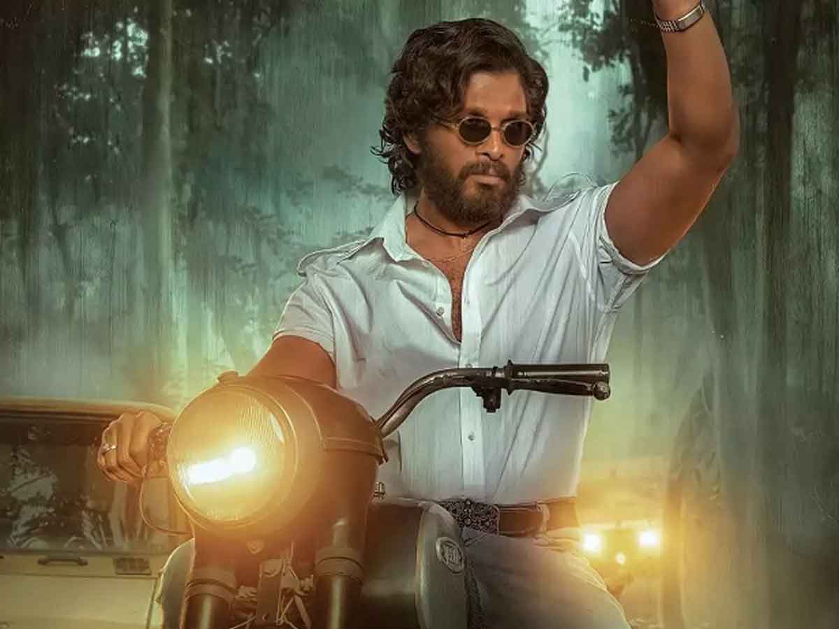 పుష్ప స్టోరీ లీక్.. సినిమాపై పెరిగిన అంచనాలు