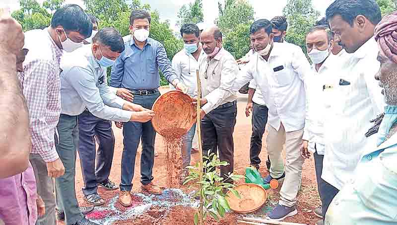 రహదారికి ఇరువైపులా మొక్కలు నాటాలి