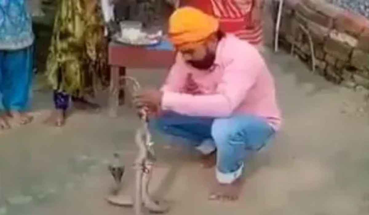 Raksha Bandhan: పాముల‌కు రాఖీ క‌డుతుంటే కాటేసింది.. వీడియో