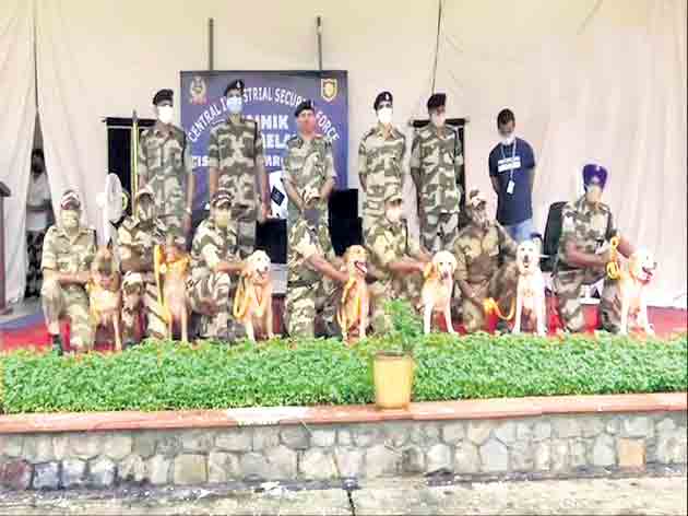 జాగిలాలకు వీడ్కోలు