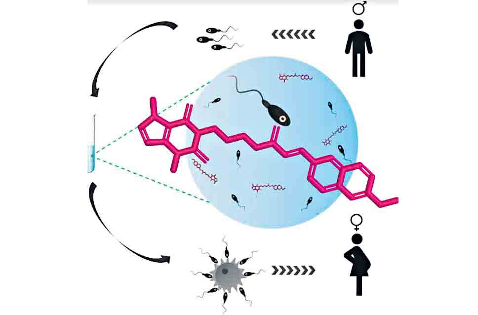 సంతాన సాఫల్య అణువు