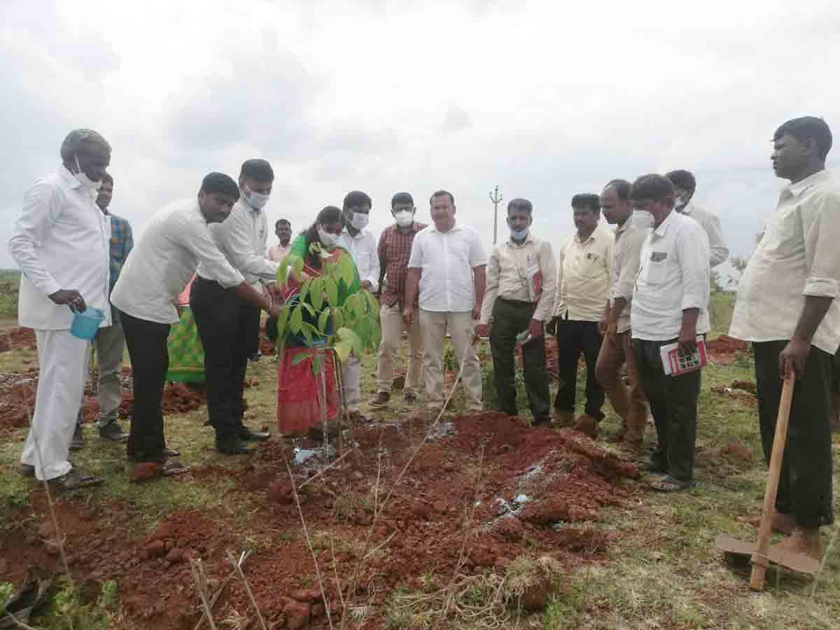 మొక్కలను నాటి సంరక్షించాలి : డీఆర్డీవో శ్రీనివాసరావు