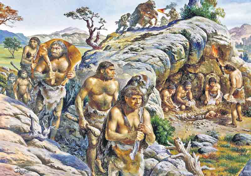 Telangana History : మన గడ్డ మీద.. మనిషి తొలి అడుగులు