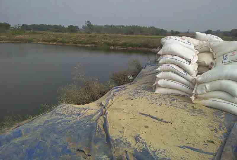 చేపలు జాగ్రత్తలు