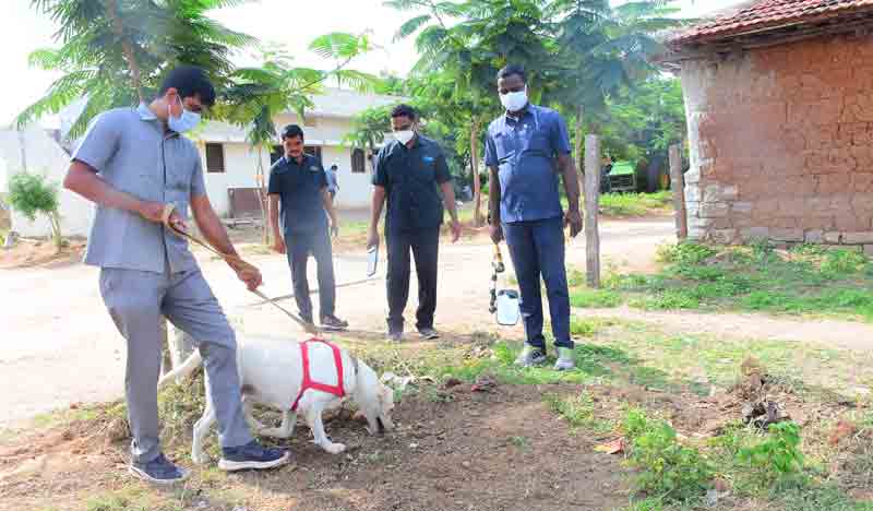 దత్తత గ్రామానికి దళపతి