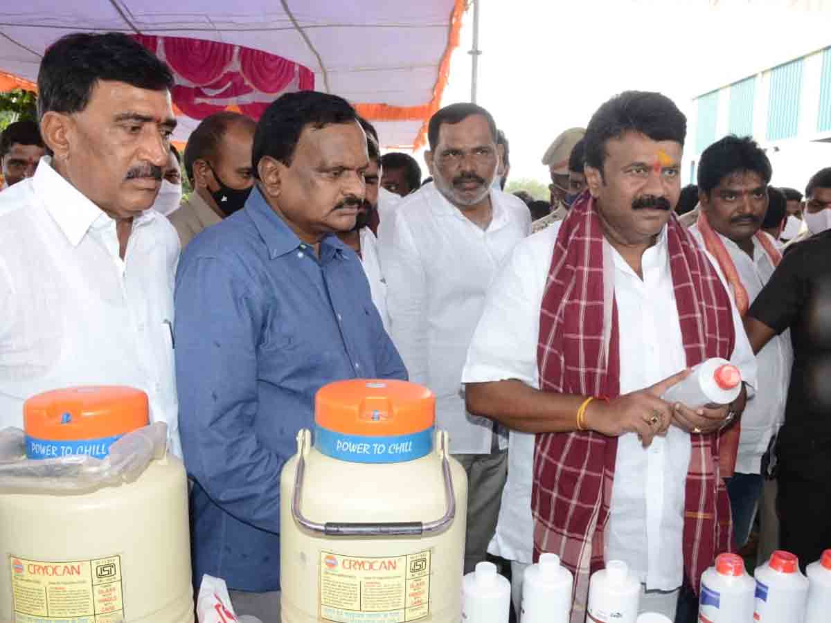 వ‌ర్గ‌ల్‌లో న‌ట్ట‌ల నివాణ మందుల ఉచిత‌ పంపిణీ