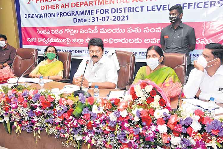 గొర్రెల సంపద 7800 కోట్లు