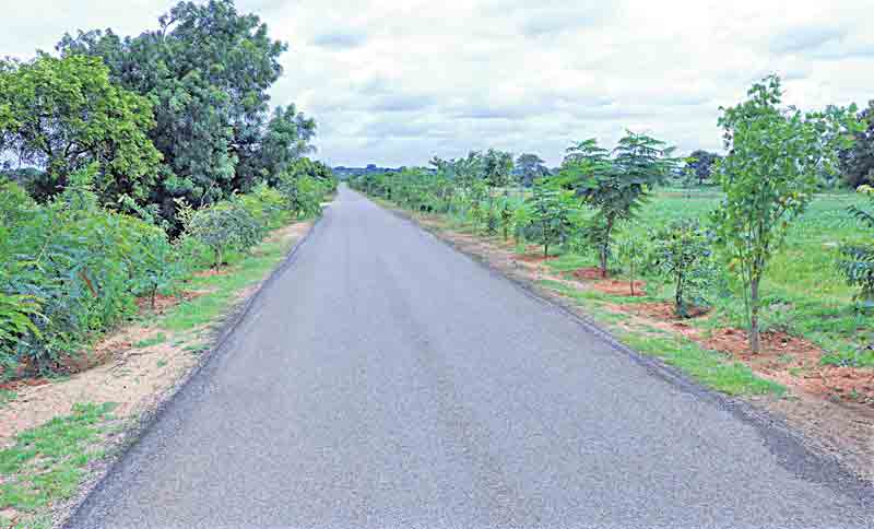 అందం.. ఆహ్లాదం