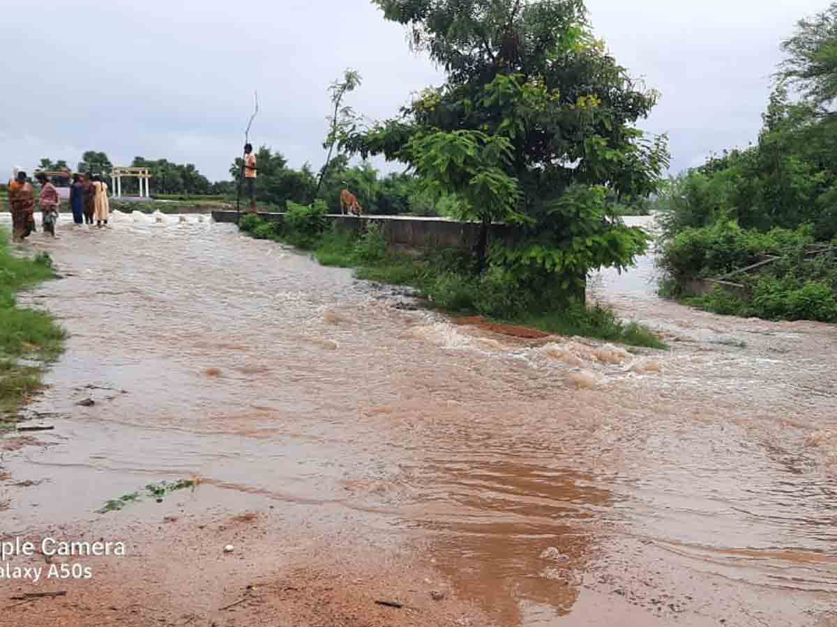 రాష్ట్రం వ్యాప్తంగా దంచికొట్టిన వాన