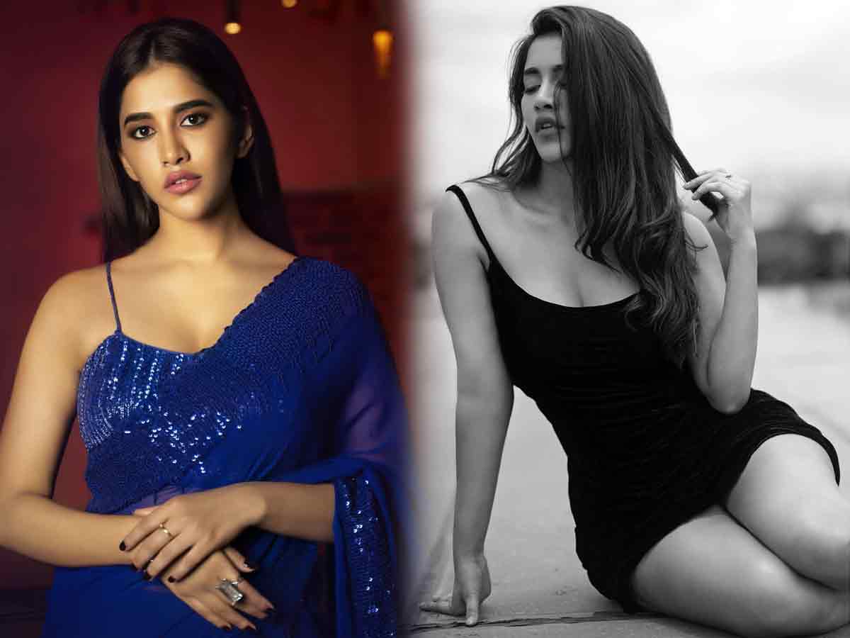 Nabha Natesh | కొత్త ఫొటోలతో మది దోచేస్తున్న ఇస్మార్ట్ భామ‌