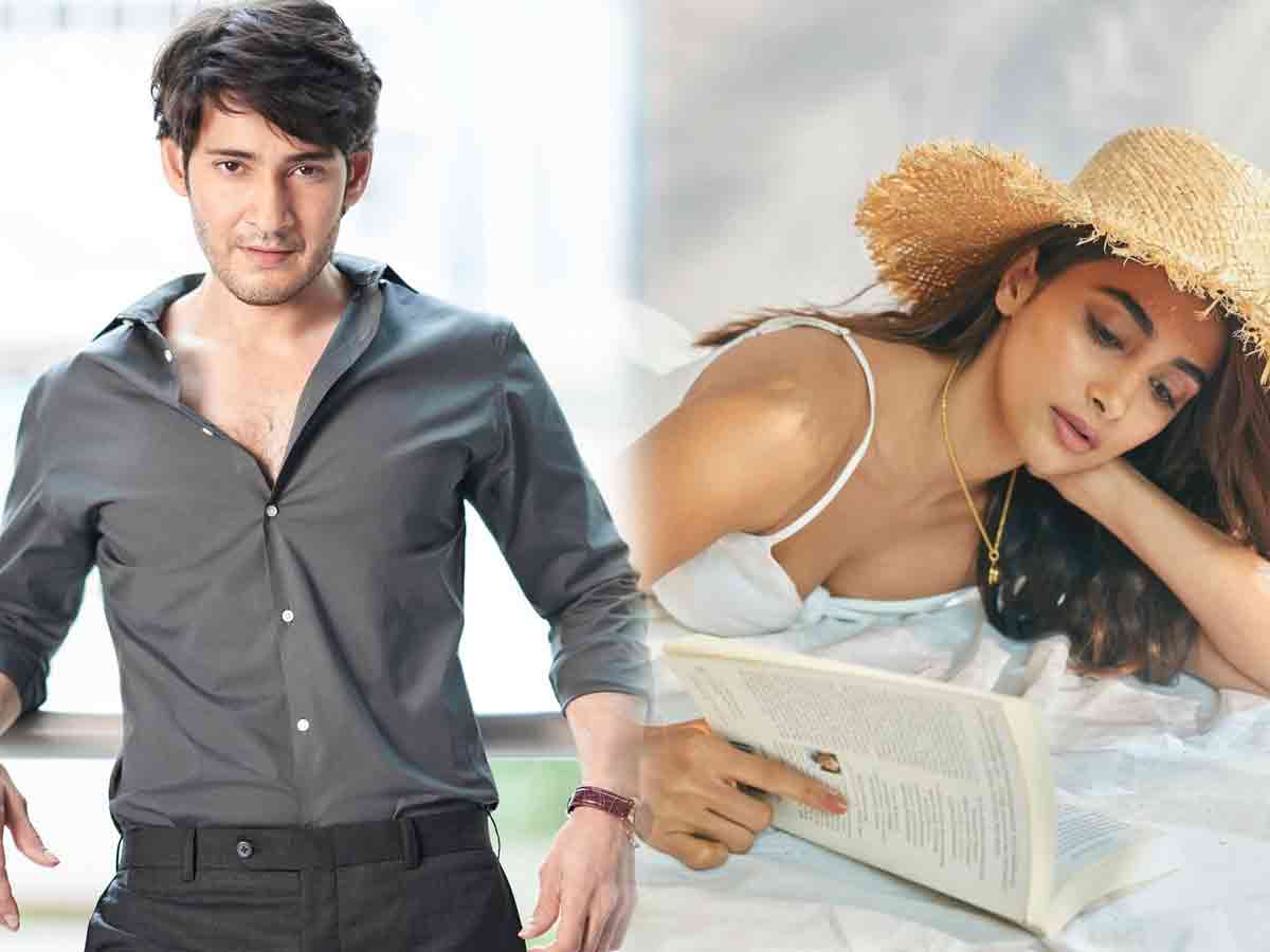 Instagram Updates: బర్త్డే లుక్ లో మహేష్.. సండే స్టోరీ చెప్పిన పూజా హెగ్డే