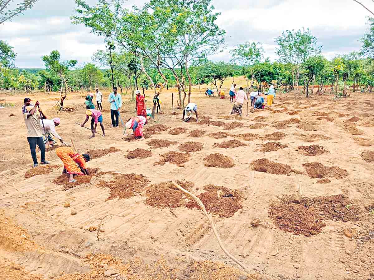 లక్ష్యం.. 5 లక్షలు..