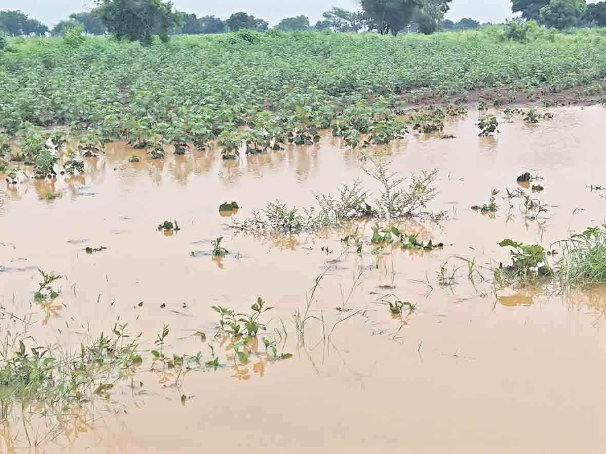 చేను చెరువైంది