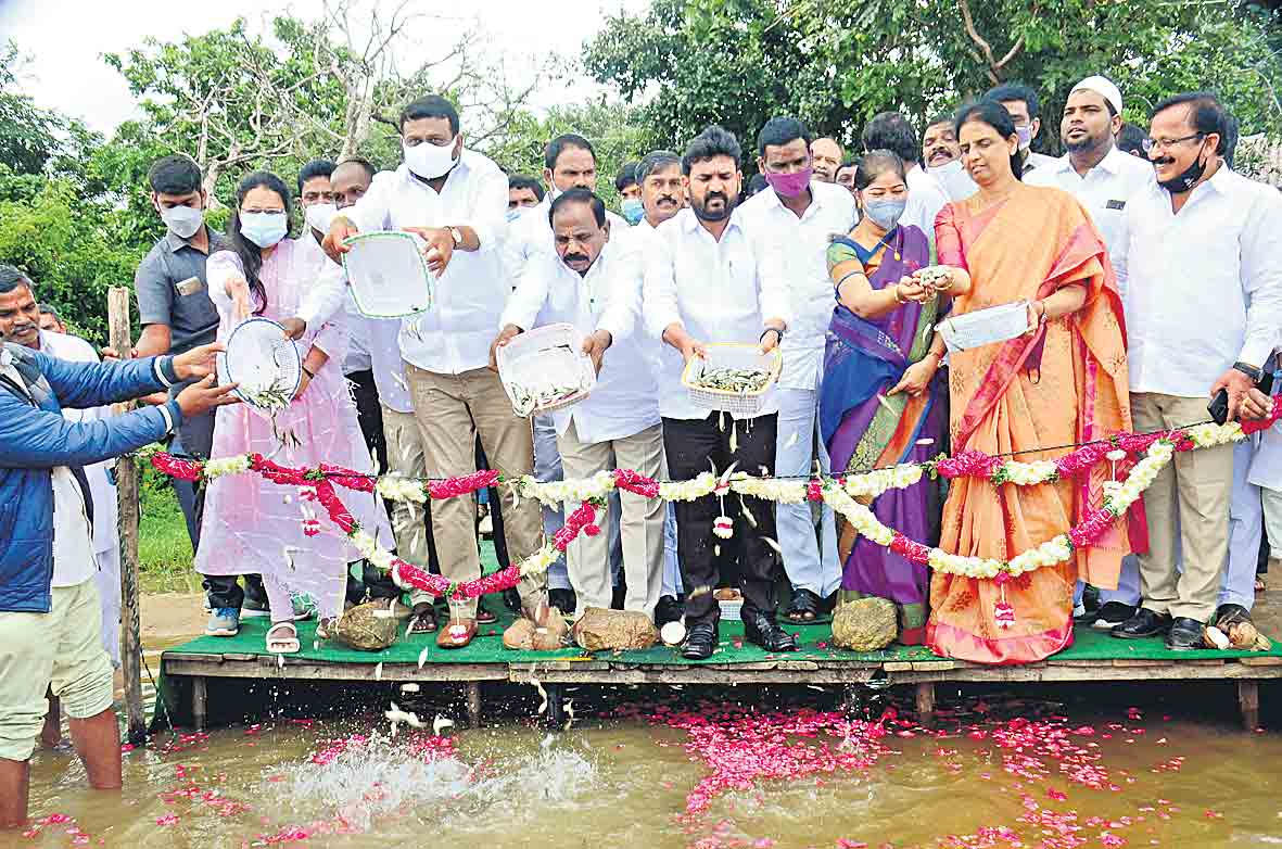 ‘మత్స్యకారులకు మంచి రోజులు