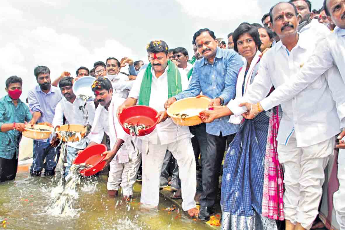 ముఖ్యమంత్రి చొరవతో మత్స్య ఉత్సవం