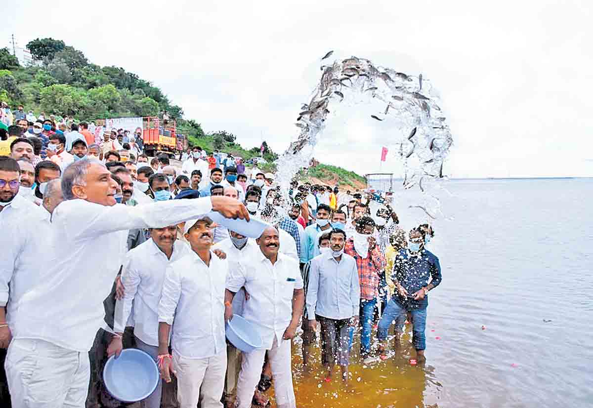 పంచాయతీల్లోఈ-ఆడిట్‌