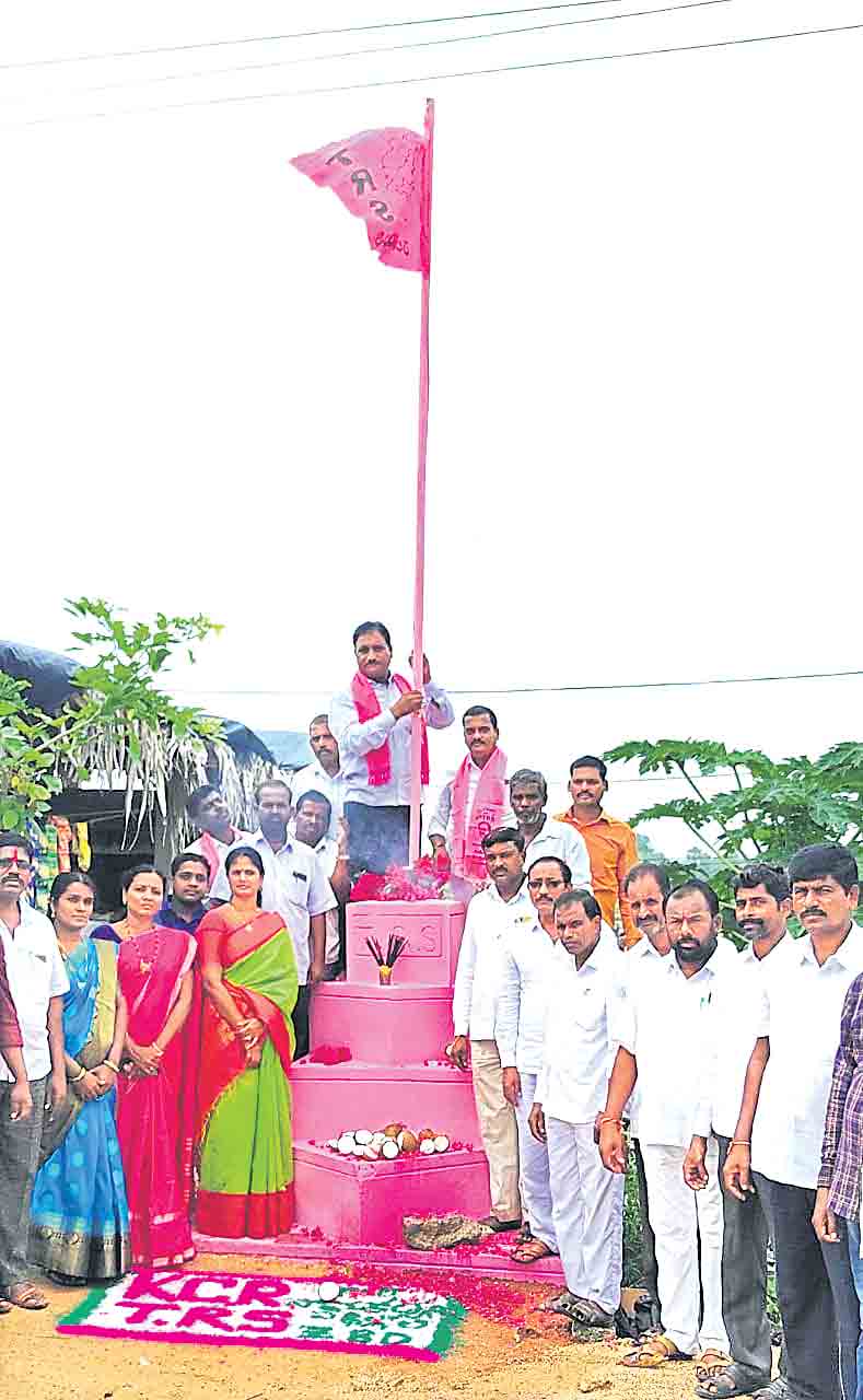 గులాబీ రుపరెపలు