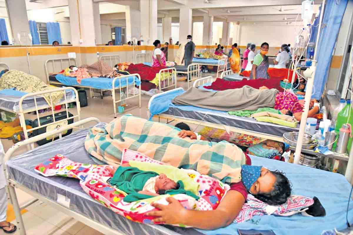 24 గంటలు.. 30 ప్రసవాలు