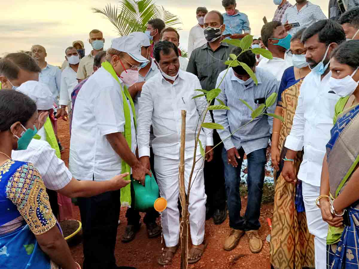 రాష్ట్రంలో పచ్చదనం పెరిగింది.. ప్రభుత్వ ప్రధాన కార్యదర్శి సోమేశ్‌కుమార్‌