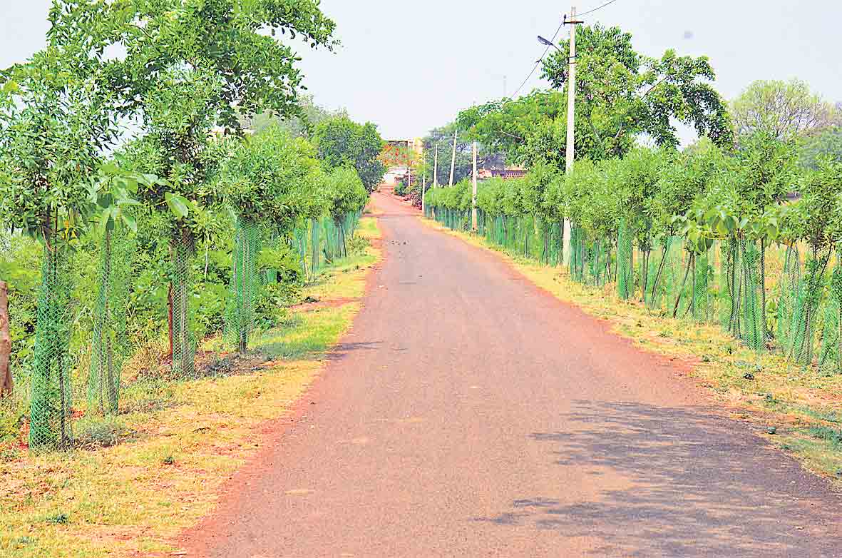 పచ్చందాల దారులు