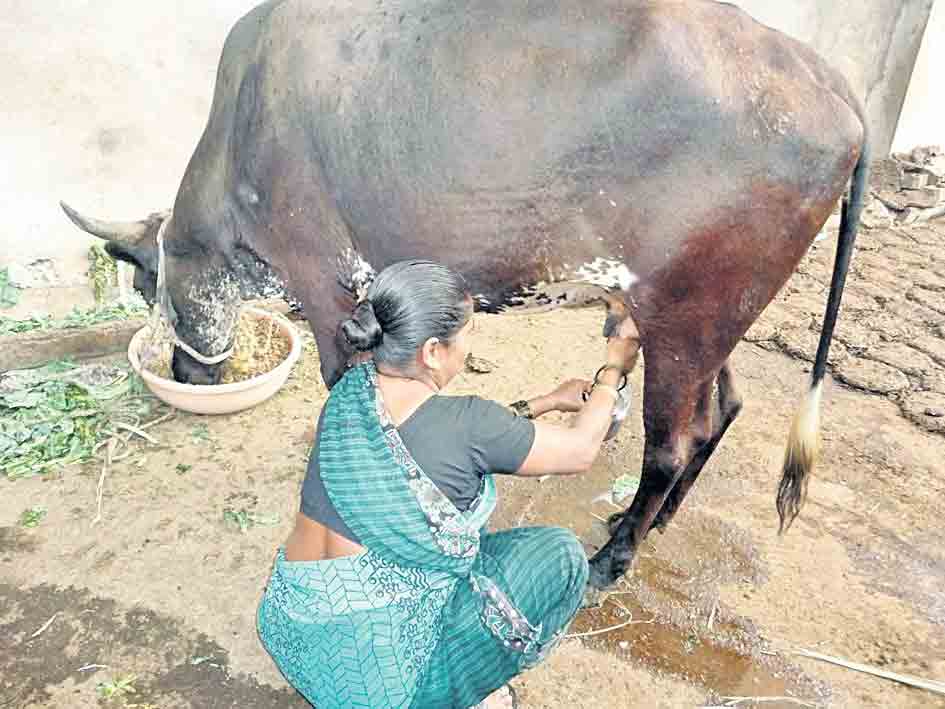 పాడికి ప్రోత్సాహం