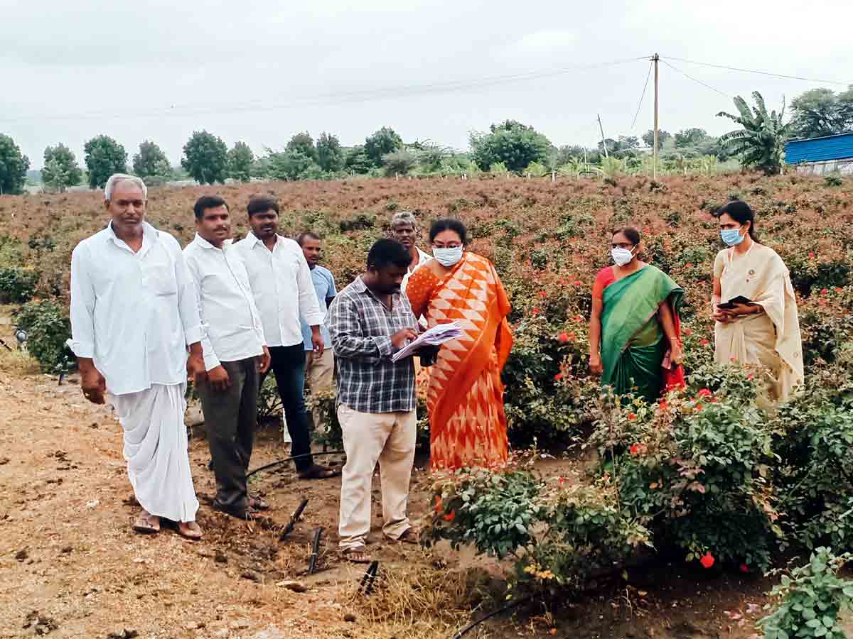 కొనసాగుతున్న క్రాప్‌ నమోదు