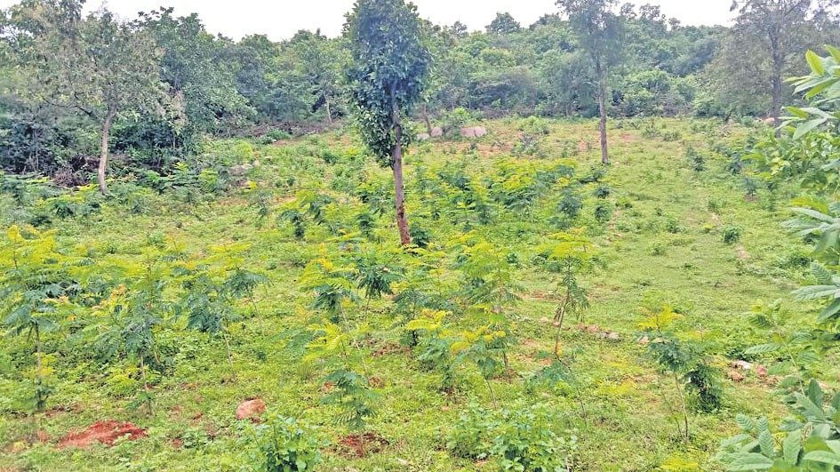 ప్రగతి పథంలో పీరంపల్లి