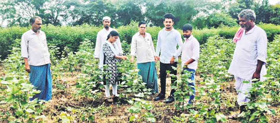 పంట నష్టం వివరాల సేకరణలో అధికారులు