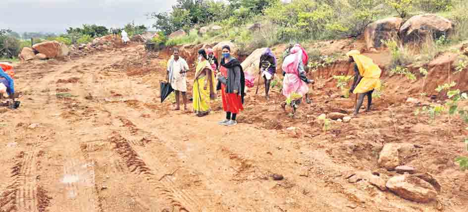 మొక్కవోని దీక్షతో..
