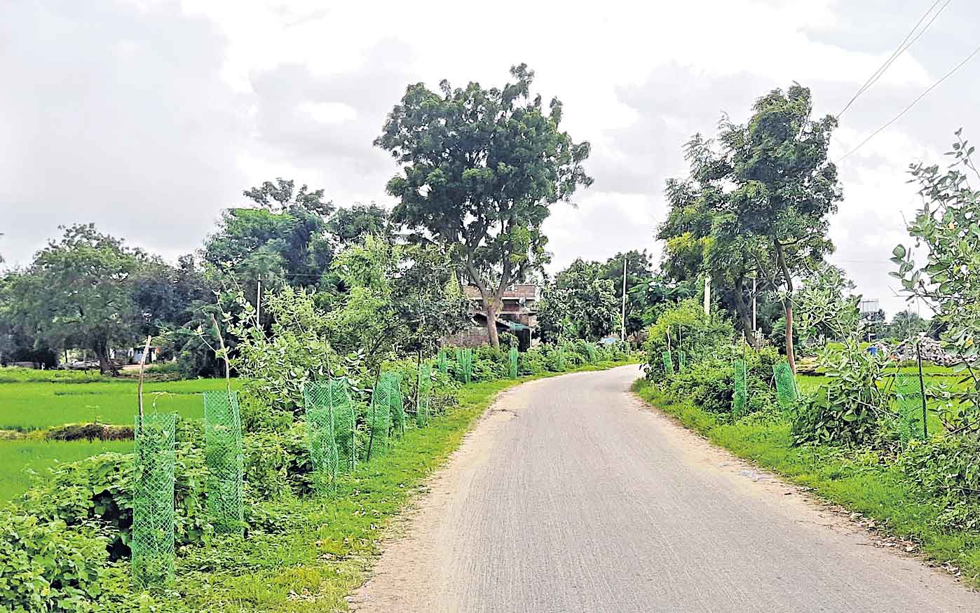 రూర్బన్‌ ర్యాంకింగ్స్‌లో తెలంగాణ టాప్‌