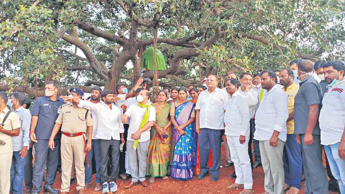 ప్రకృతి వనాలతో పల్లెలకు కొత్తందాలు