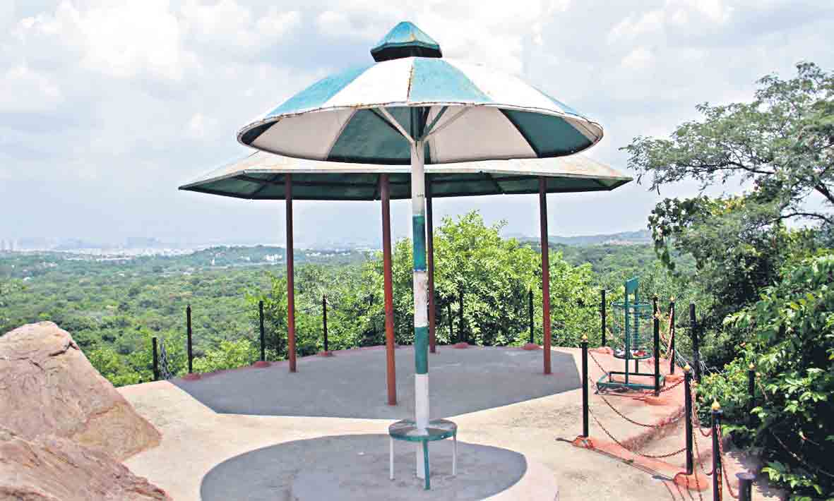 సరదాల మృగవని..