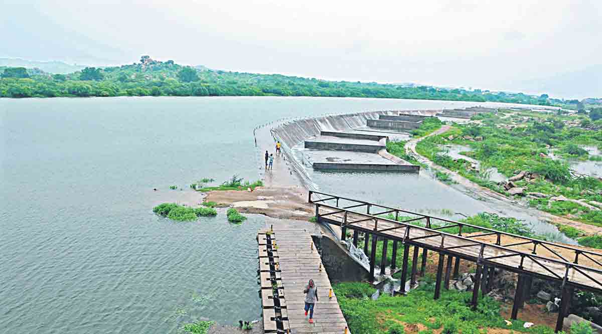 115 ఏండ్లు ఘనకీర్తి