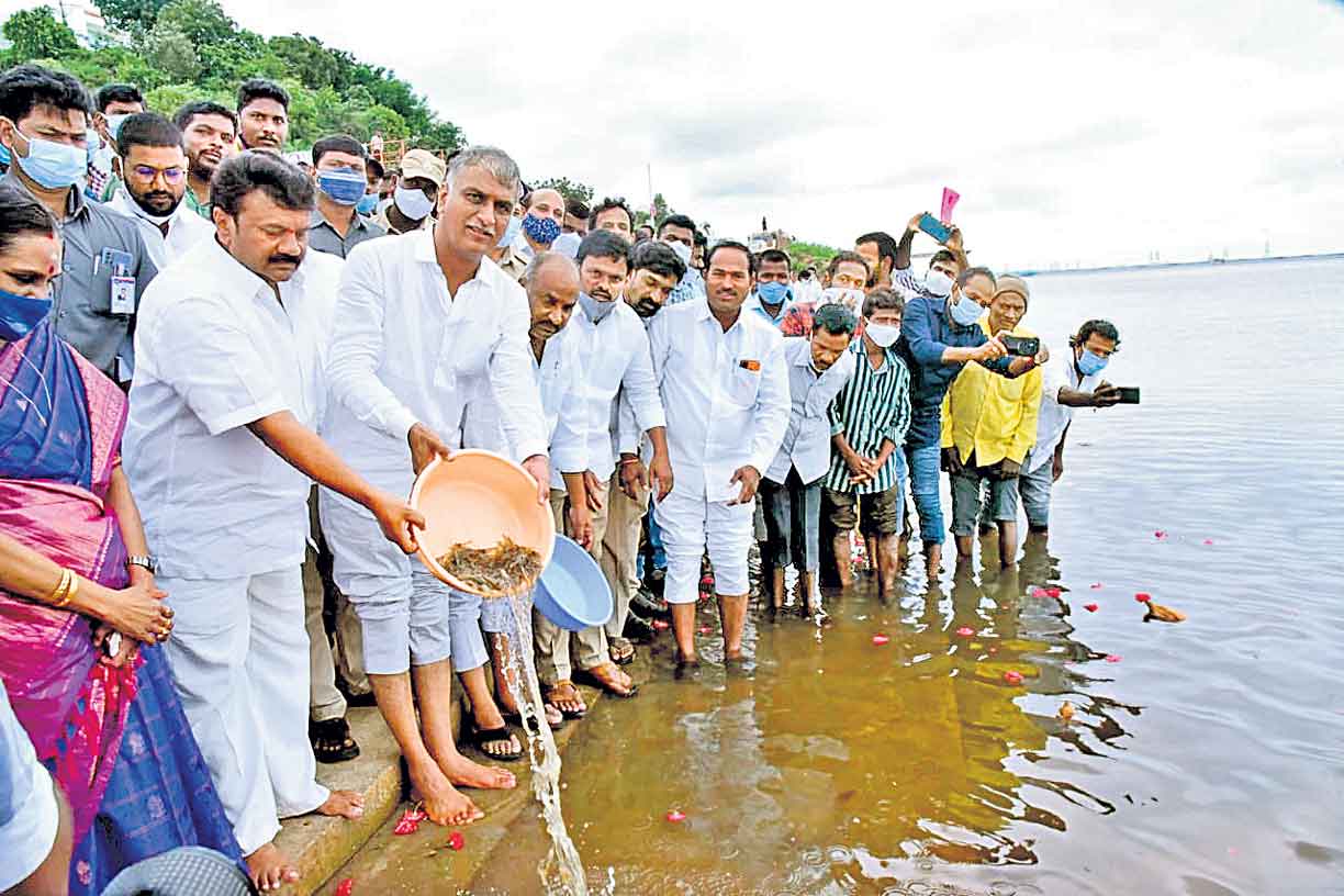 మన చేప భలేరుచి