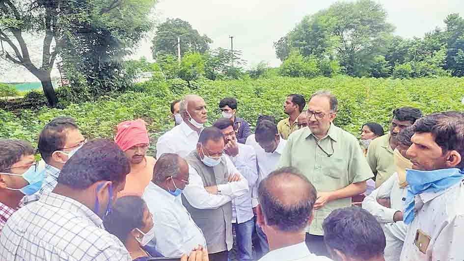 సేంద్రియ పంటలకు డిమాండ్‌