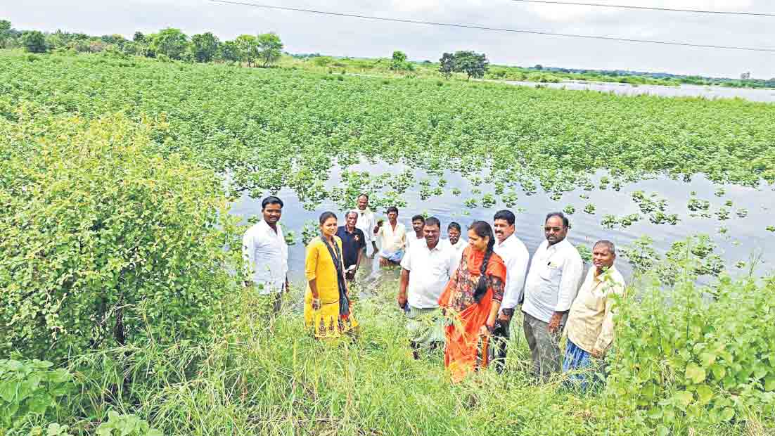 అన్నదాతకు అపార నష్టం