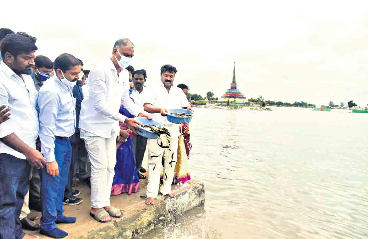మత్స్యపరిశ్రమకు ఊపిరి