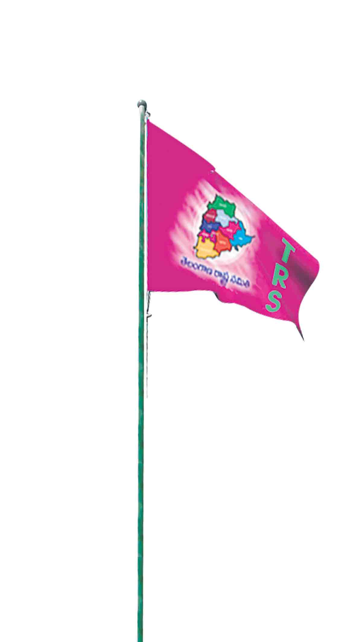 పతాకస్థాయిలో.. సంబురాలకు సిద్ధం