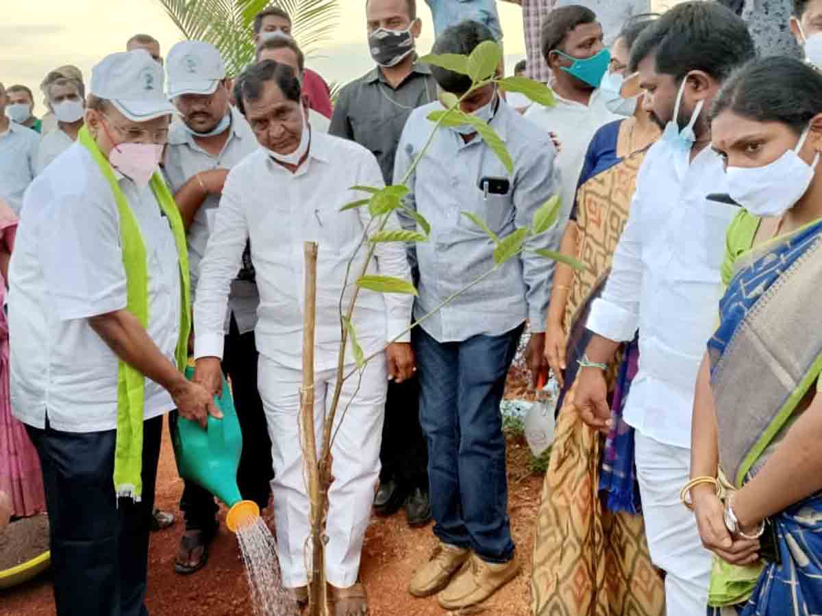 Kothuru : వేగంగా పల్లె ప్రకృతి వనాల పనులు