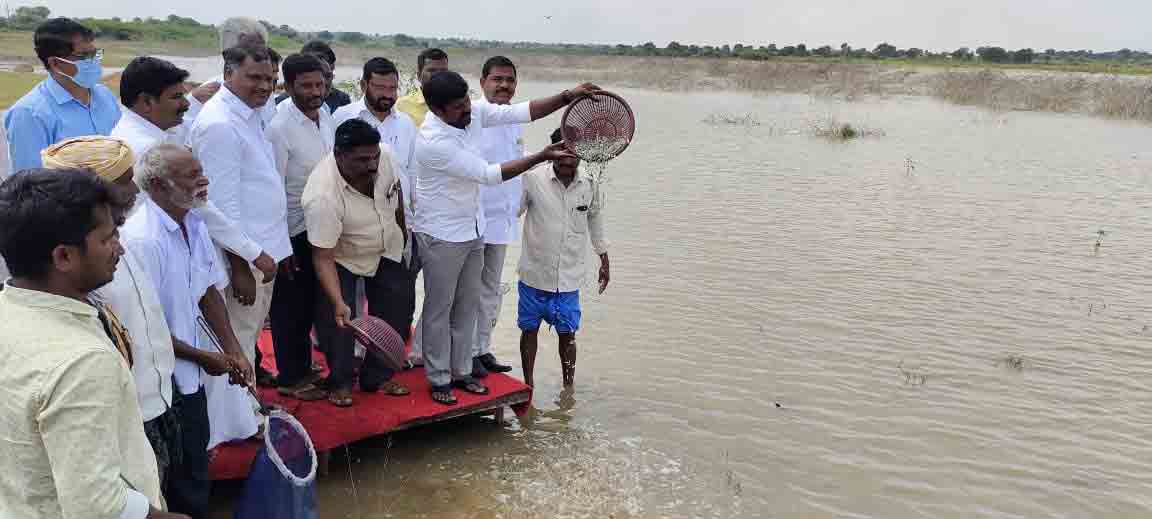 Achampet మత్య్సకారులకు అండగా తెలంగాణ ప్రభుత్వం : ప్రభుత్వ విప్ గువ్వల బాలరాజు