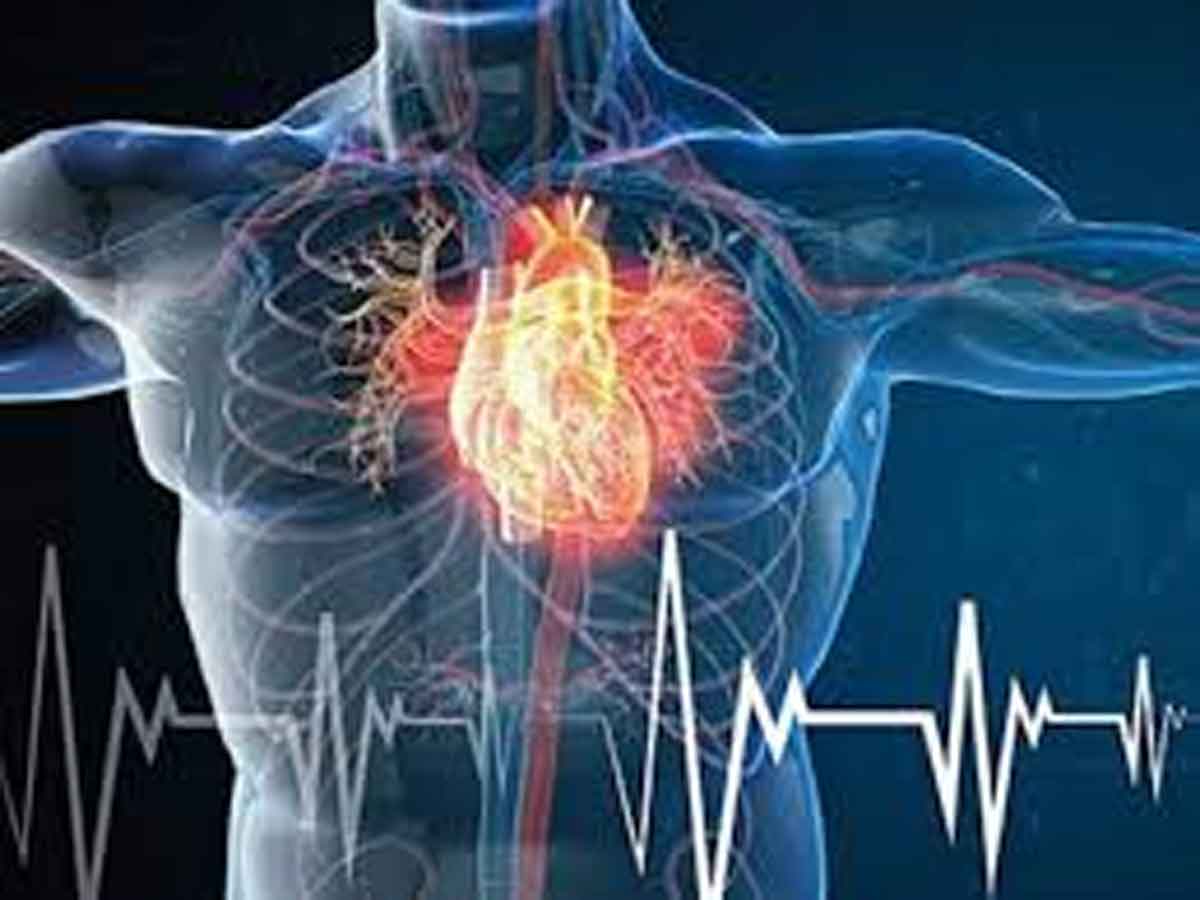 World Heart Day : గుండెను కాపాడుకుందాం.. హాయిగా జీవిద్దాం